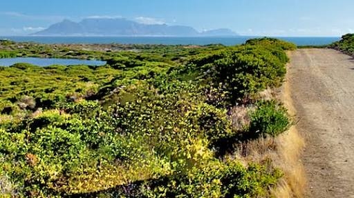 Cycling in Koeberg Nature Reserve 