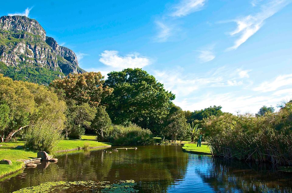 Kirstenbosch