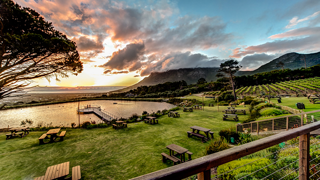 Cape Point Vineyards