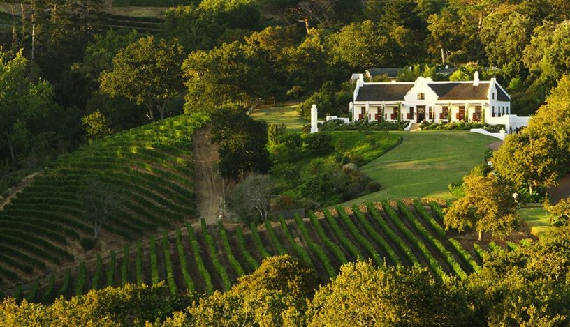 constantia wine tour