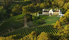 The Constantia Wine Route