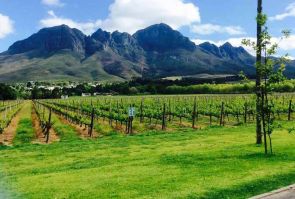 Somerset West Wine Estates Experience