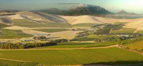 Durbanville Wine Valley